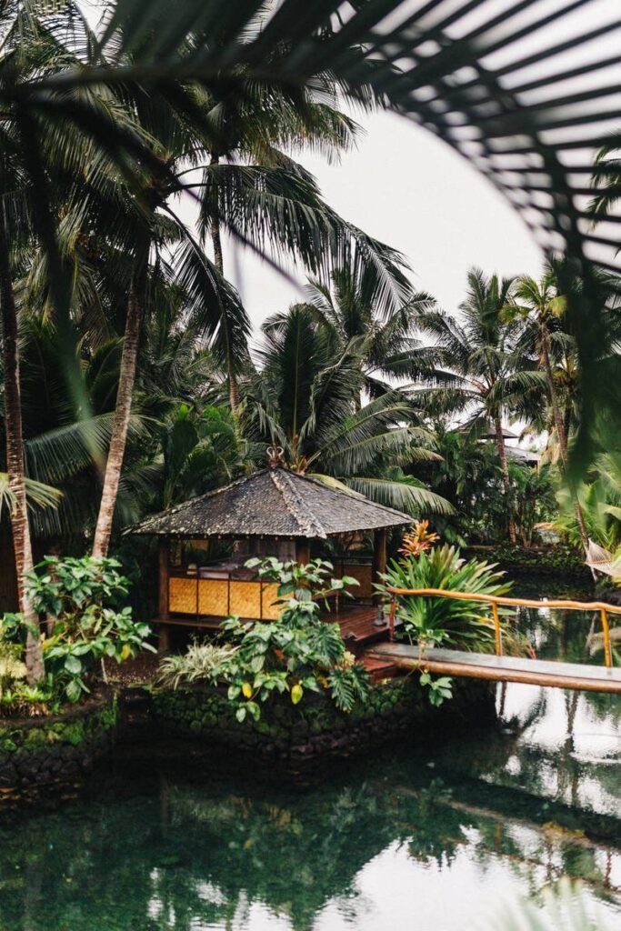 How Do the New Mobiles Brands Compare with the Equivalent iPhones?